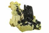 Black Tourmaline (Schorl) Crystals with Orthoclase - Namibia #132237-1